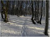 Veliko Trebeljevo - Obolno